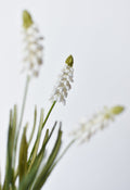 12,5" Künstliche Weiße Muscari-Traubenhyazinthe