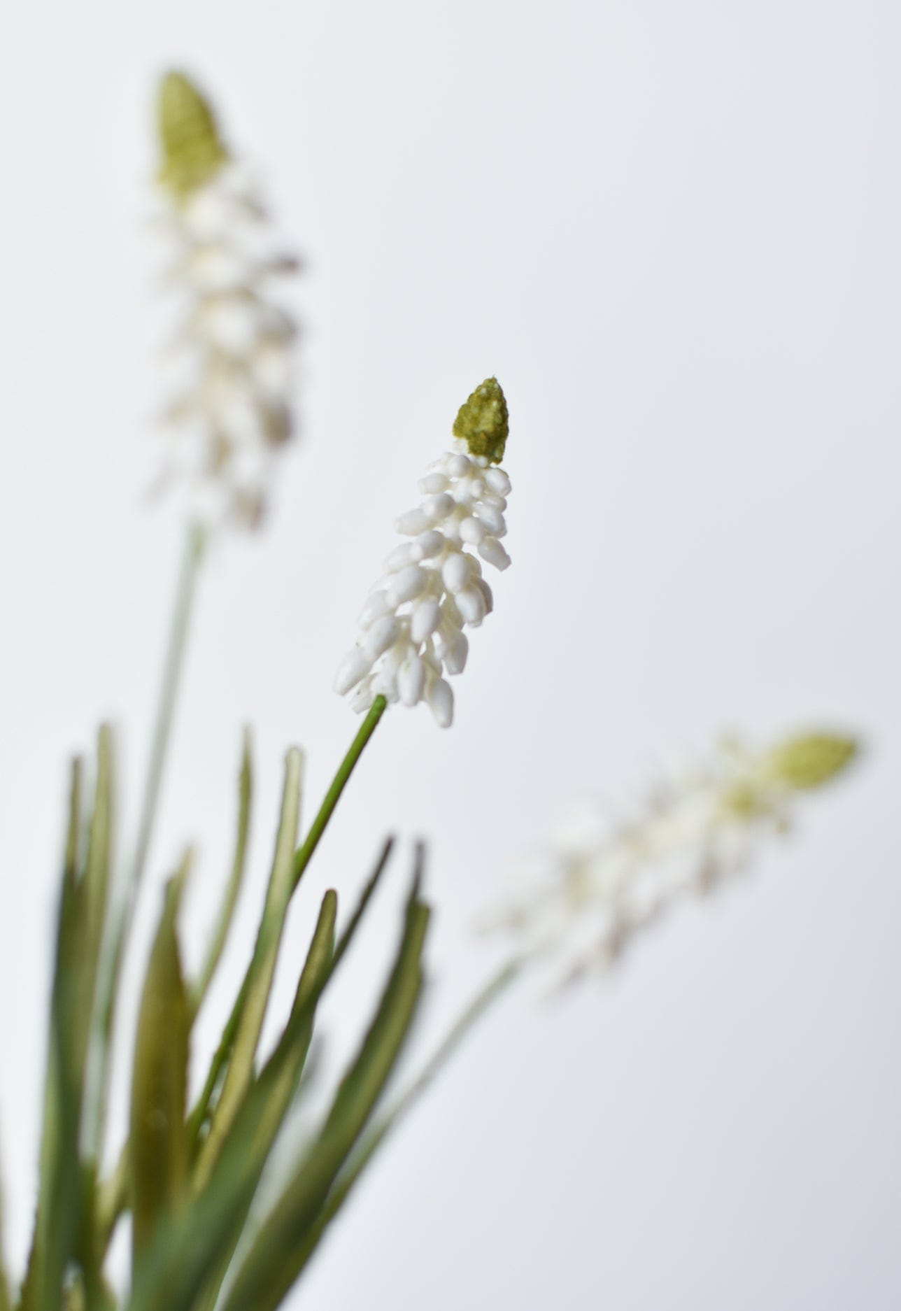 12,5" Künstliche Weiße Muscari-Traubenhyazinthe