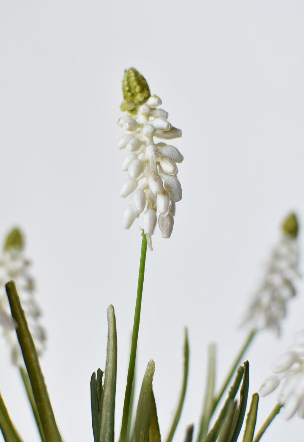 12,5" Künstliche Weiße Muscari-Traubenhyazinthe