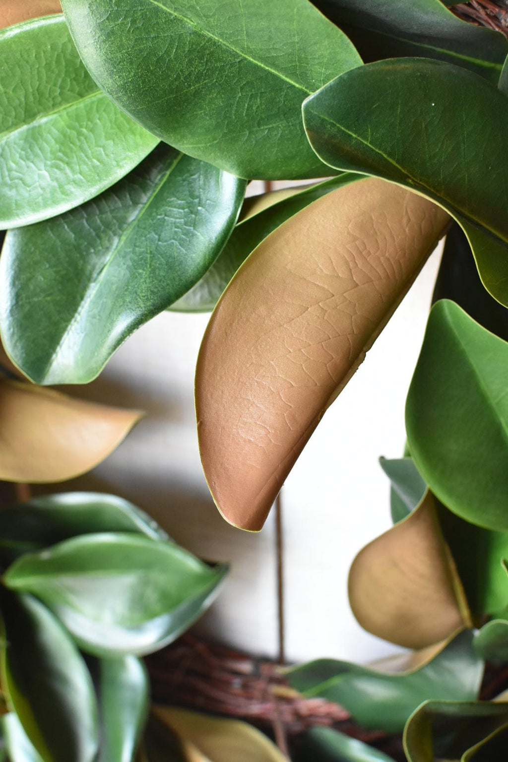 70cm Künstlicher Magnolienblatt-Kranz