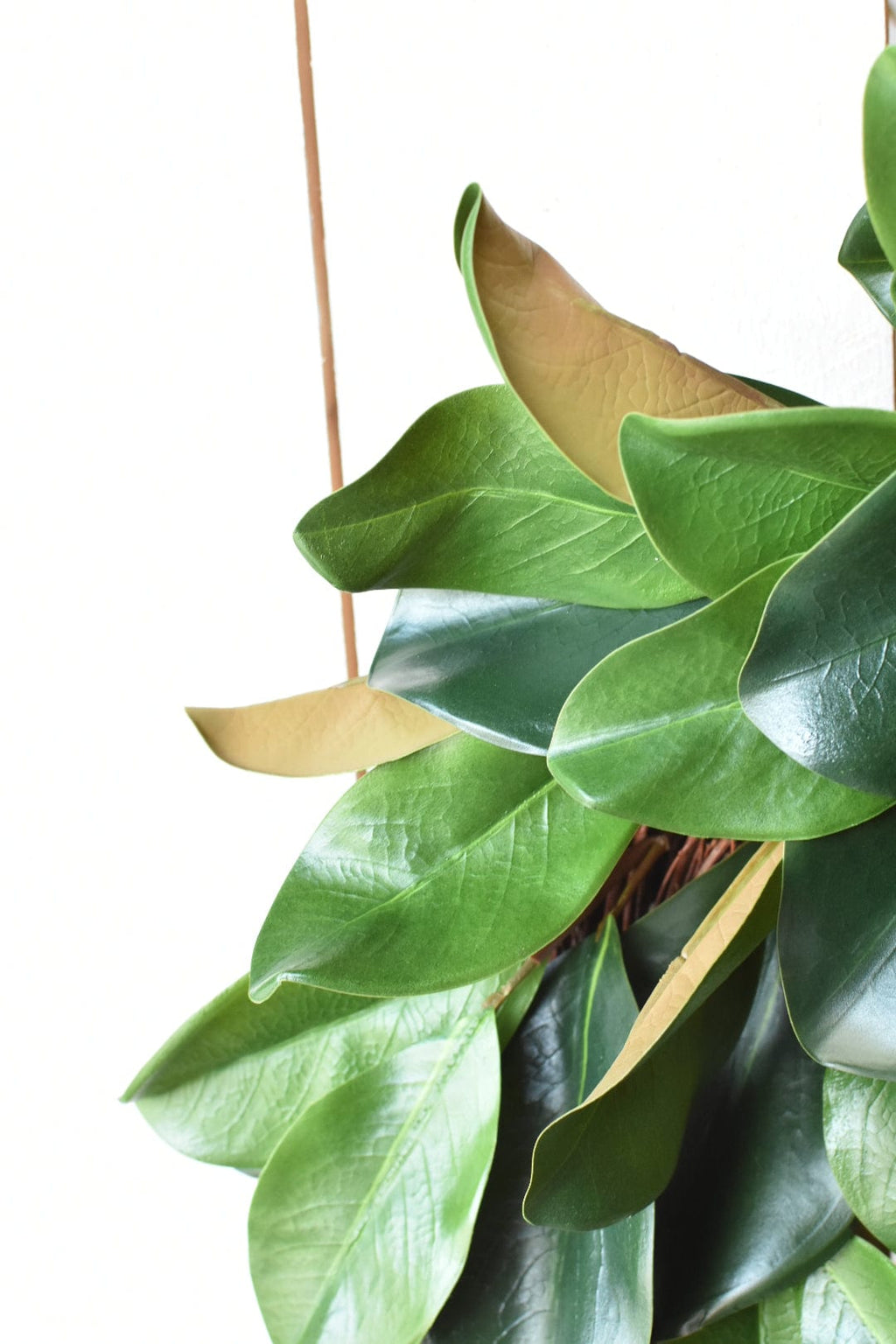 70cm Künstlicher Magnolienblatt-Kranz