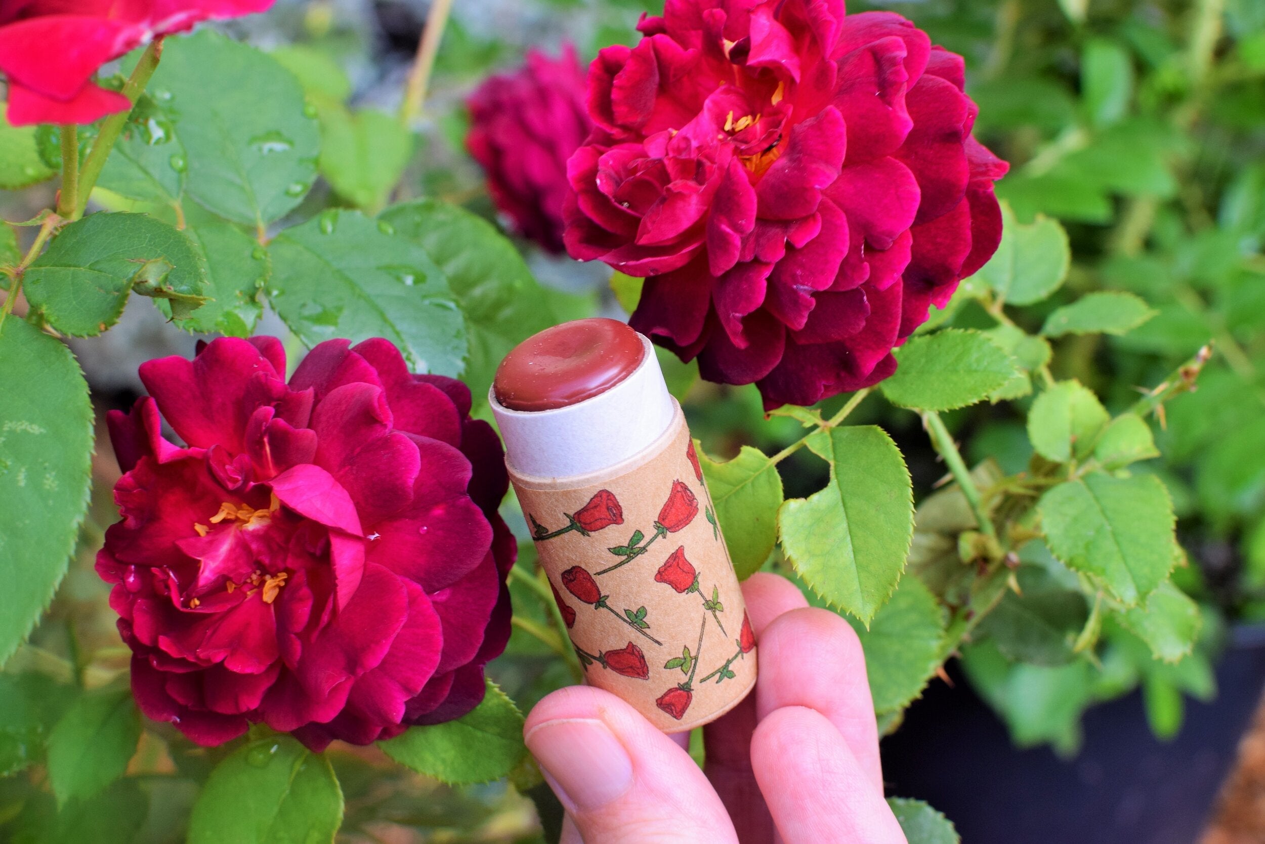 Red Rose Lipstick