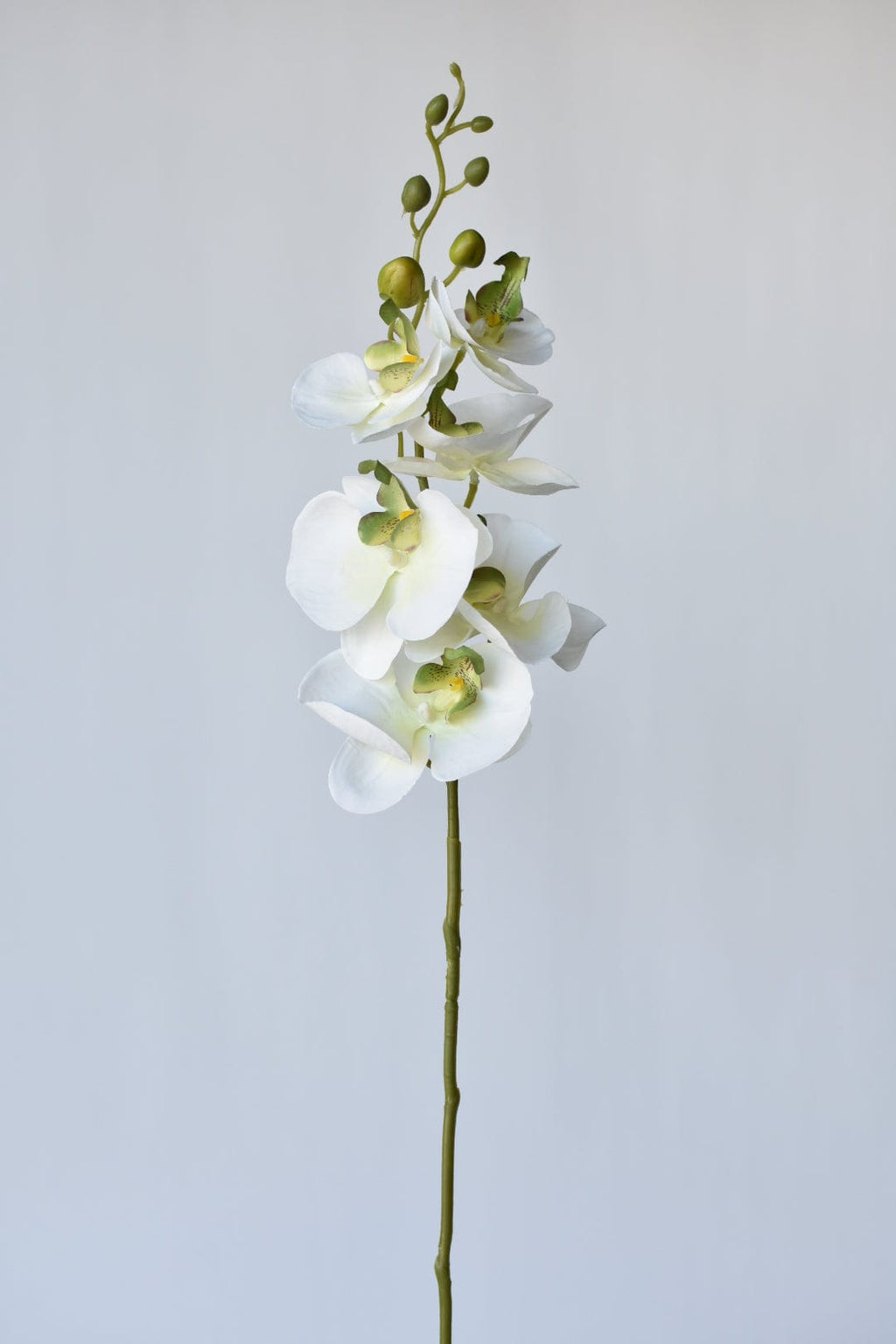 33" Faux White Phalaenopsis Orchid Stem
