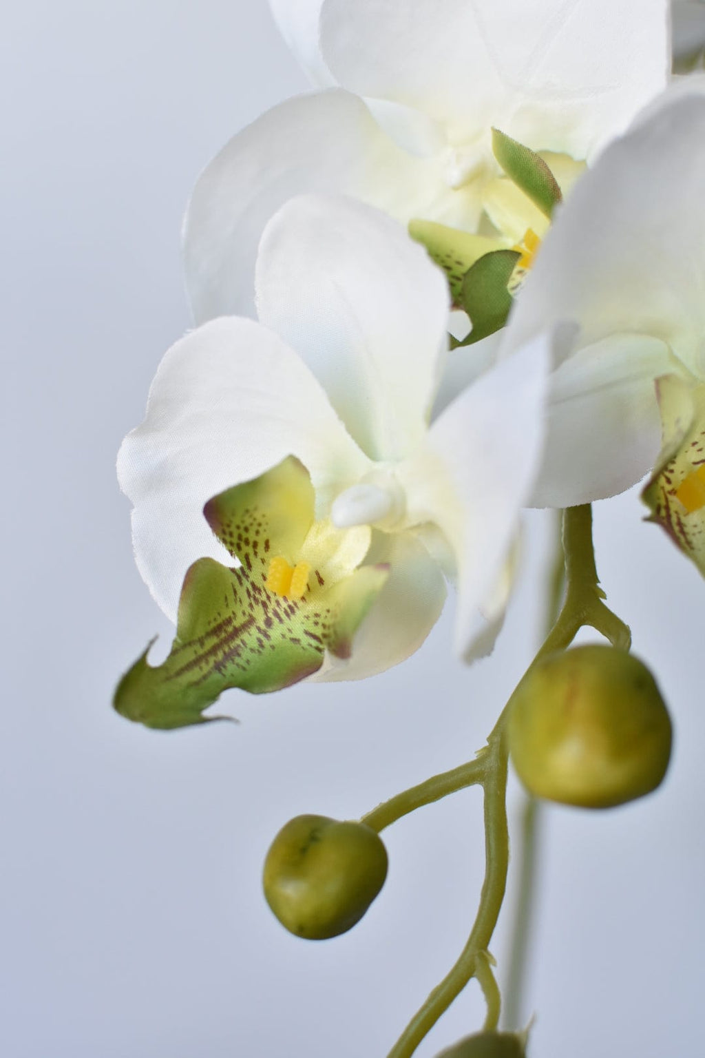 33" Faux White Phalaenopsis Orchid Stem