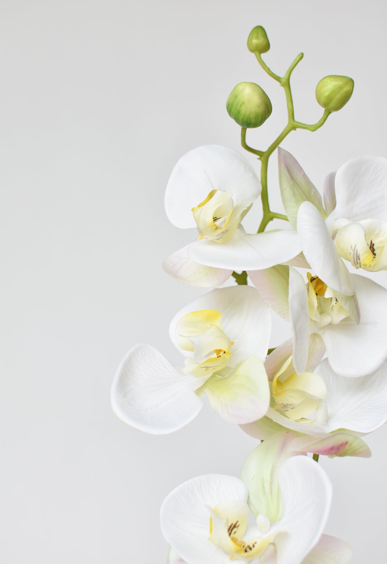 30" Faux White Orchid Stem