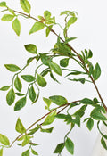 70 cm Faux Nandina-Blattstiel