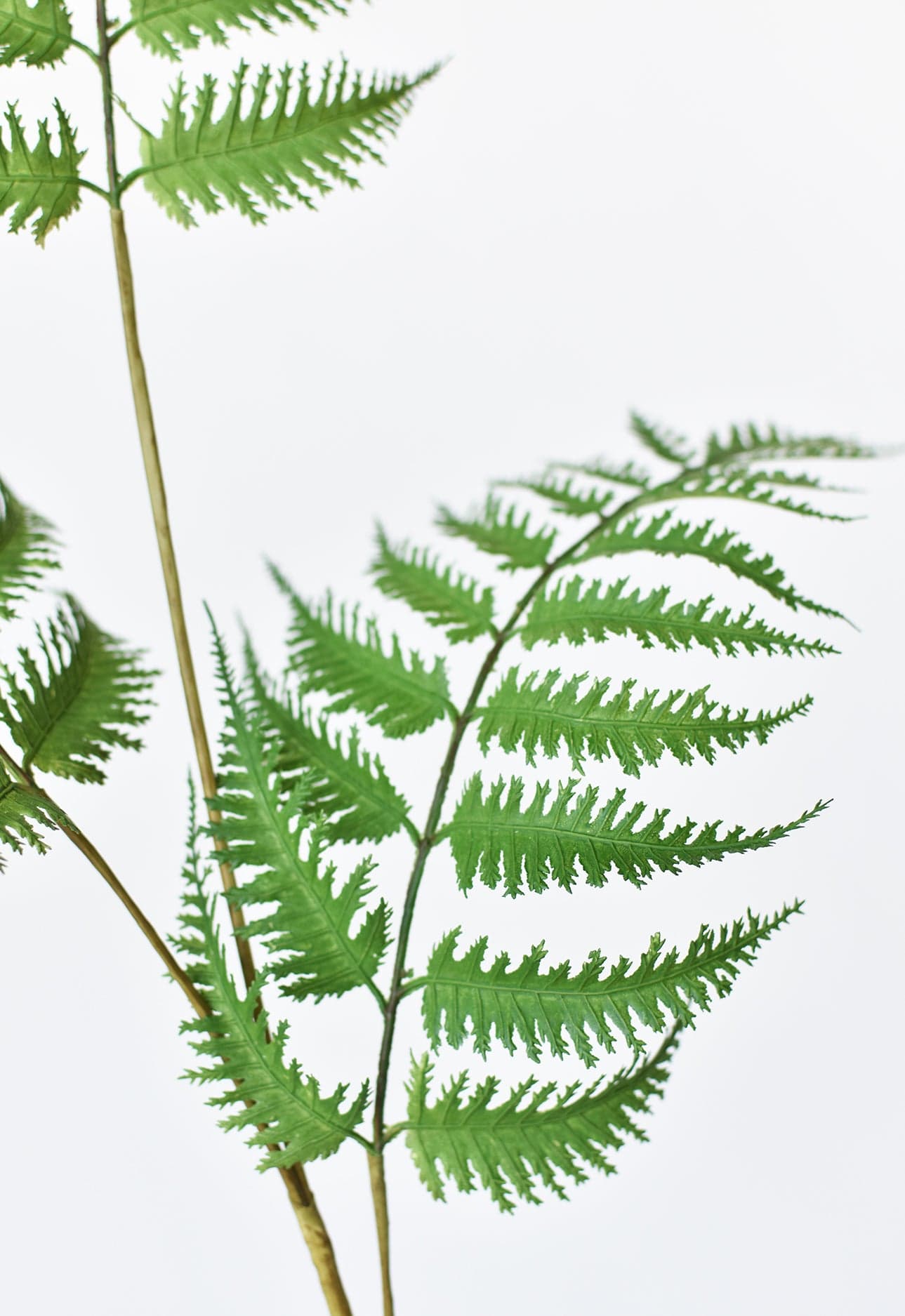 33" Künstlicher Wald-Farnzweig