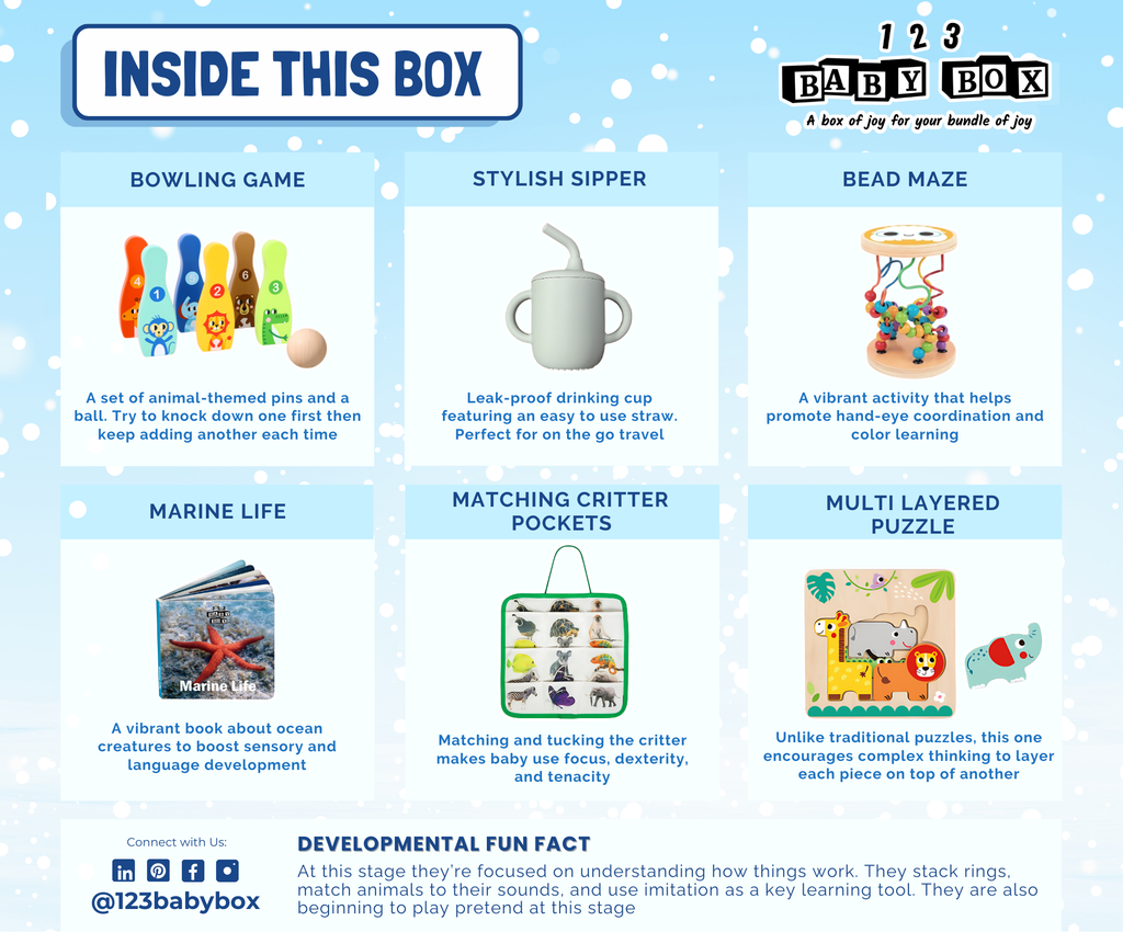 Montessori Lernbox (19-21 Monate)