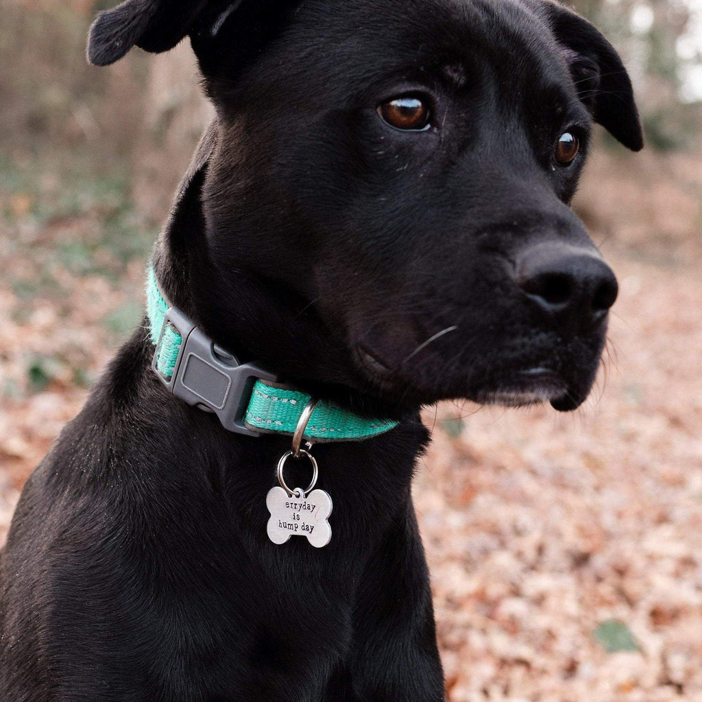 ERRYDAY IS HUMPDAY Bone-Shaped Pet Tag