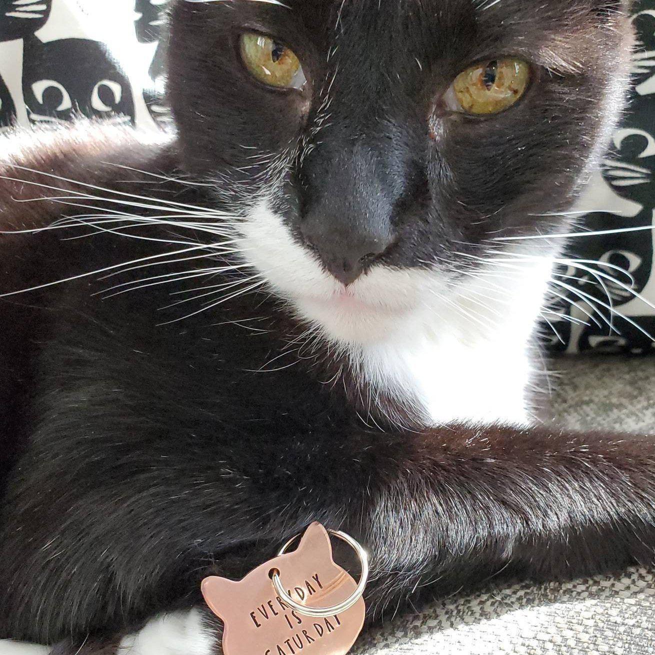 JEDER TAG IST KATZTAG Schlüsselanhänger Kupfer Katze