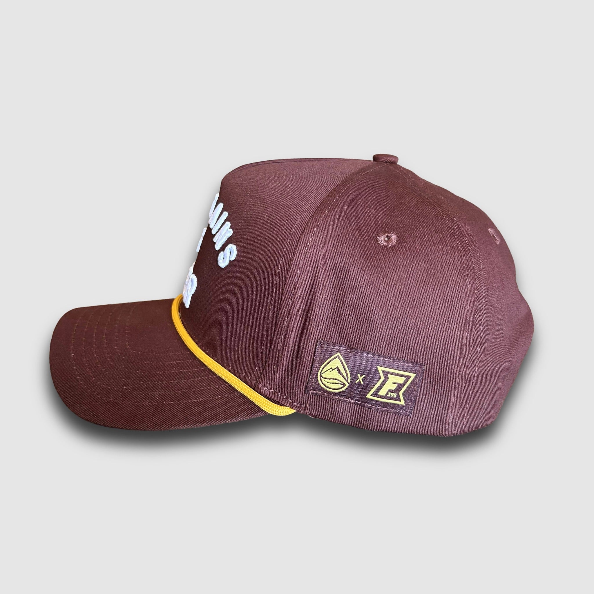 F395 x Distant Brewing Mountains & Beer Hat - Brown