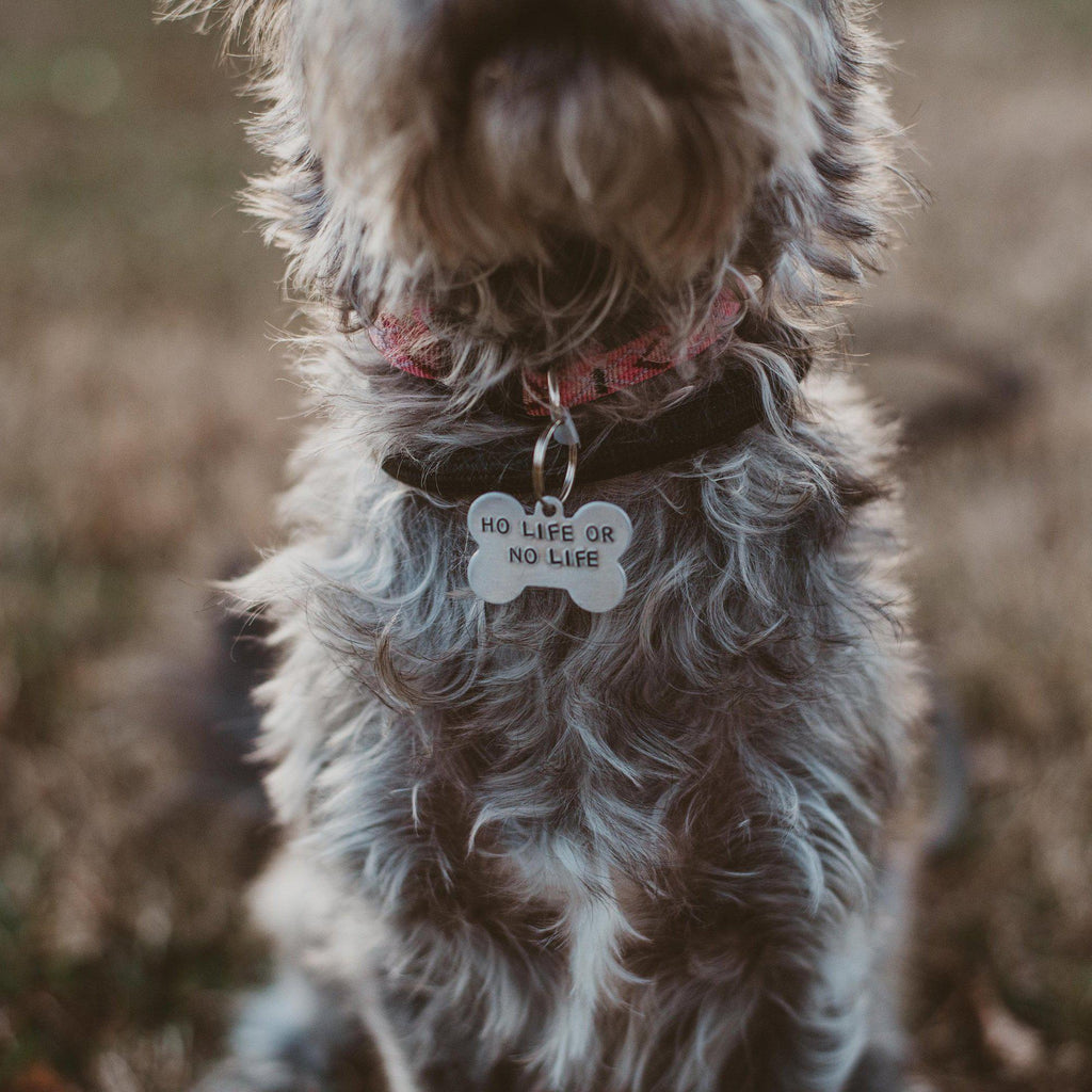 HO LIFE OR NO LIFE Bone-Shaped Pet Tag