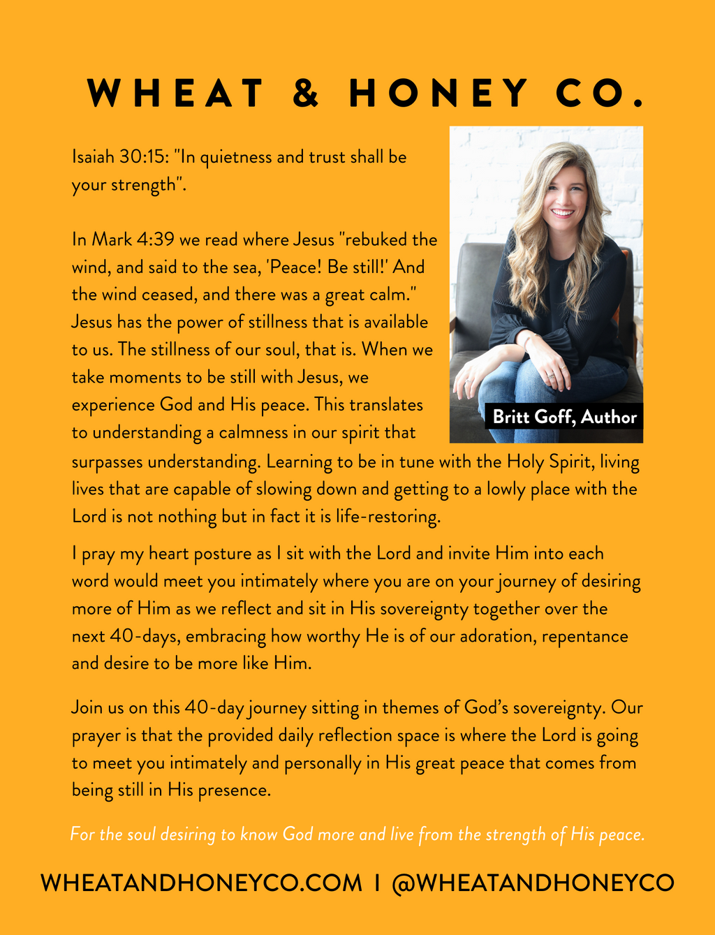 Life Less Hurried: 40 days of stillness for the soul desiring to live from the strength of His peace