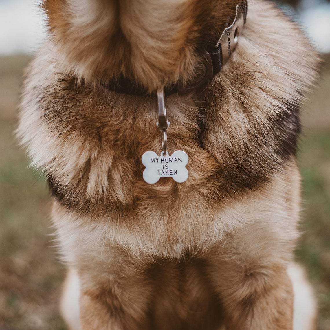 MY HUMAN IS TAKEN Bone-Shaped Pet Tag