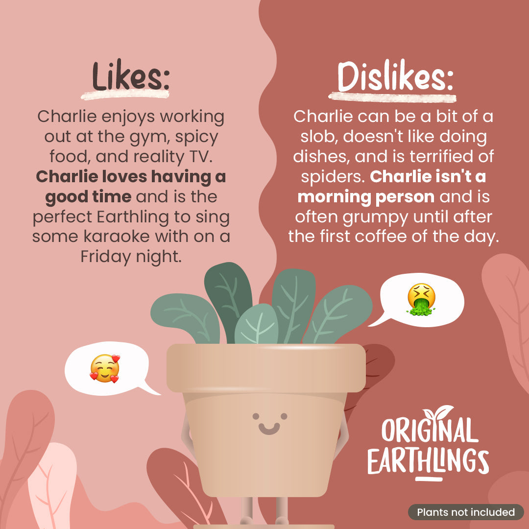 Charlie: Stehender Blumentopf