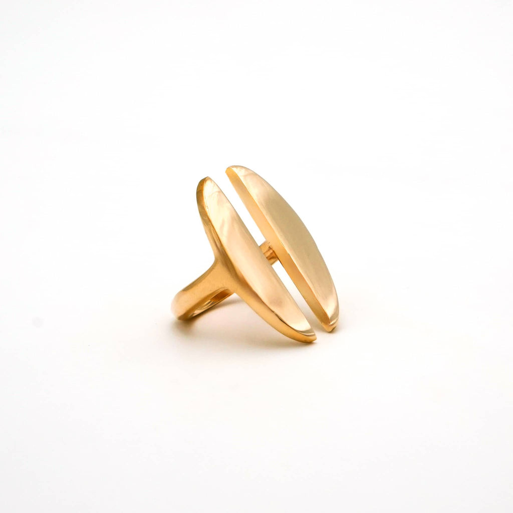Double Oval Disc Ring | Pata