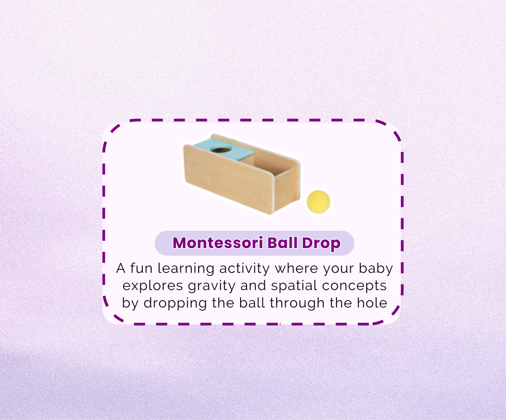 Montessori Lernbox (11–12 Monate)