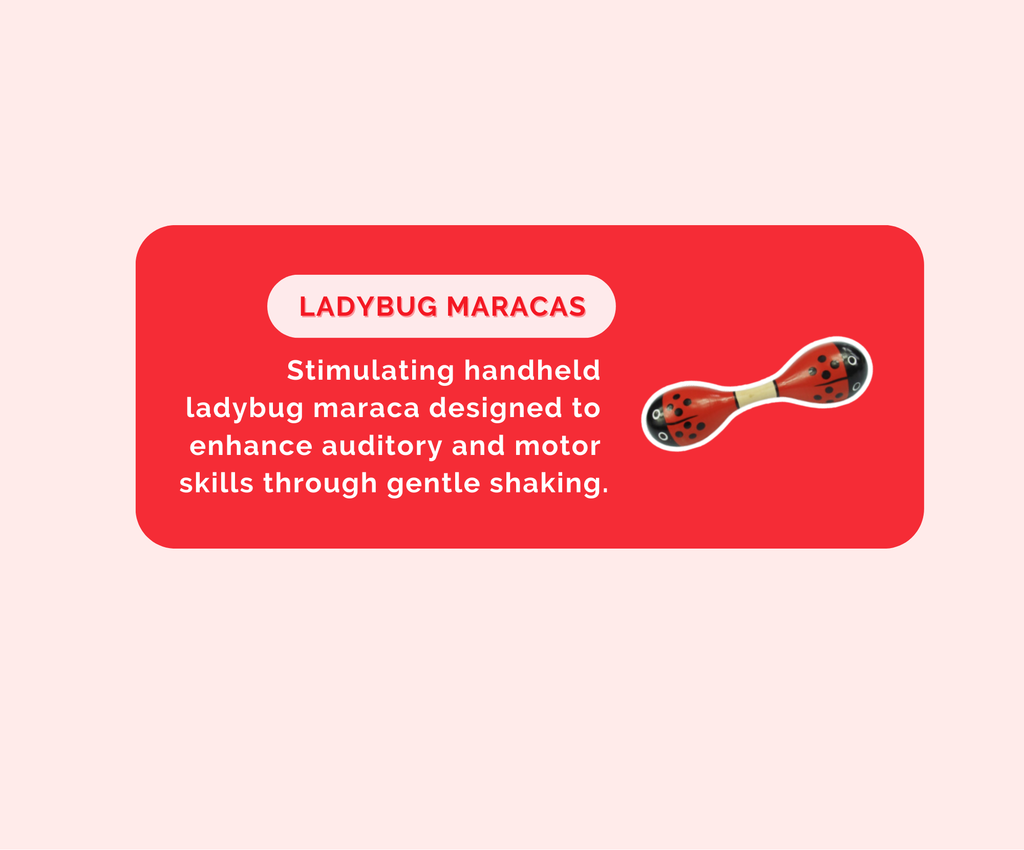 Montessori Lernbox (3-4 Monate)