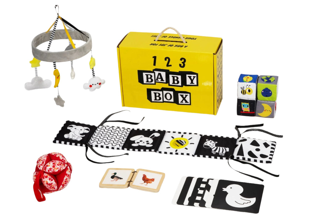 Montessori Lernbox (0-2 Monate)