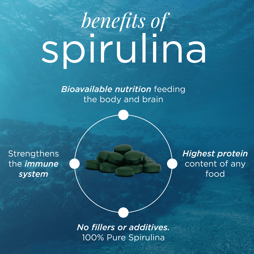 ENERGYbits® Spirulina | Großer Beutel