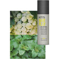KMS California HairPlay Molding Paste 3.3 Oz