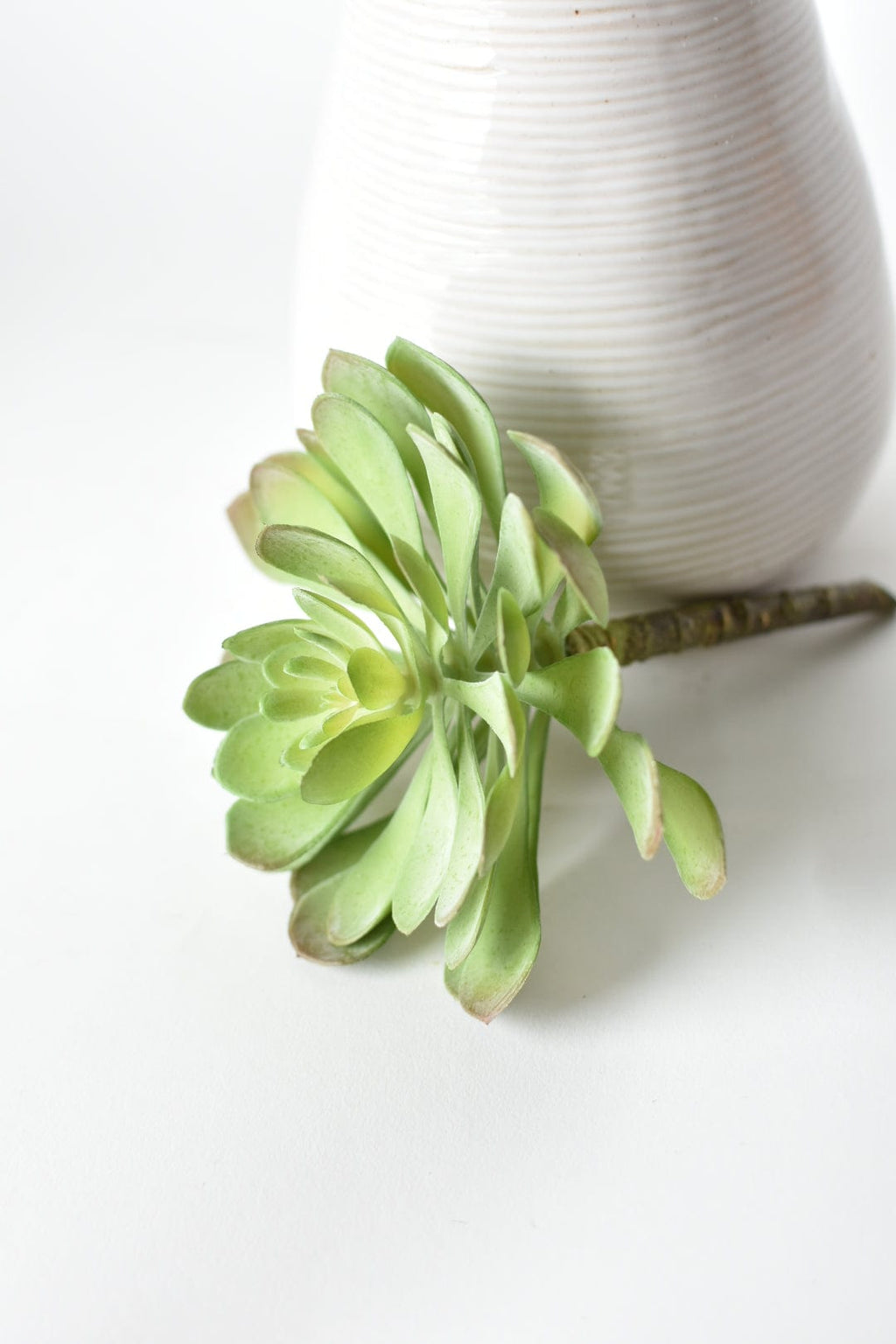 6" Faux Soft Aeonium Succulent Pick