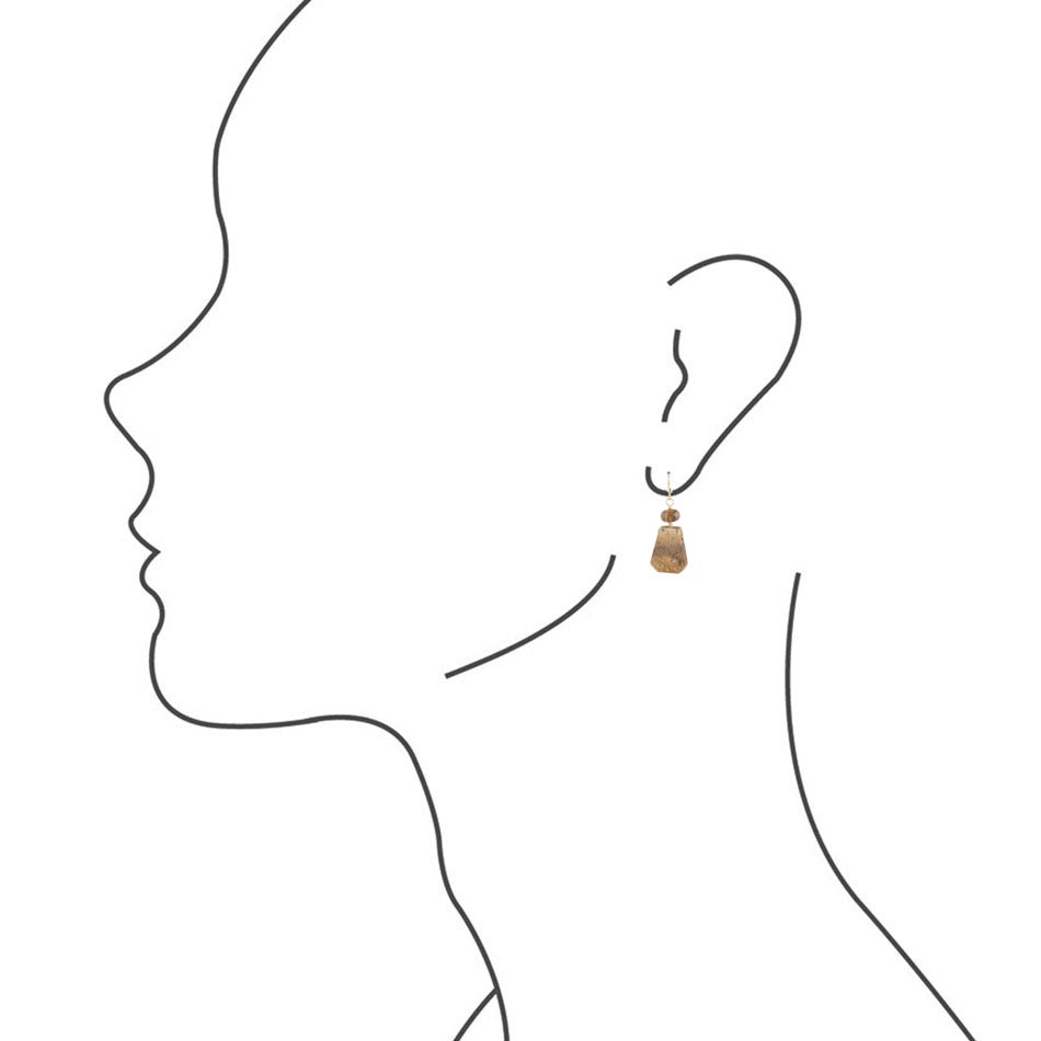 Picture Jasper Slab Earrings